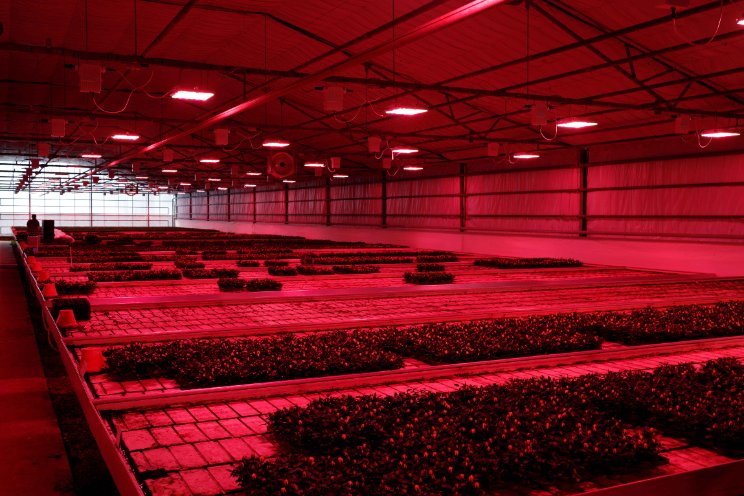 Lagere energiekosten dankzij HORTILED Lagere energiekosten dankzij HORTILED