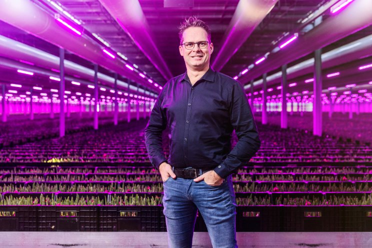 6 voordelen HVAC-systeem voor vertical farming