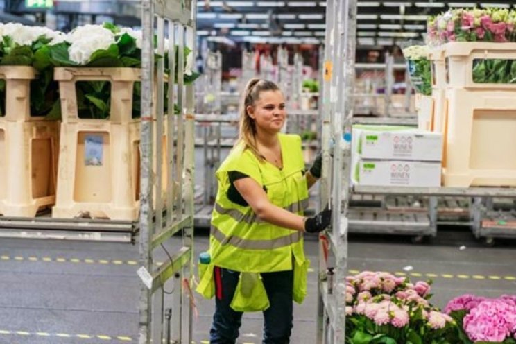 Nieuwe cao voor RFH Nieuwe cao voor RFH