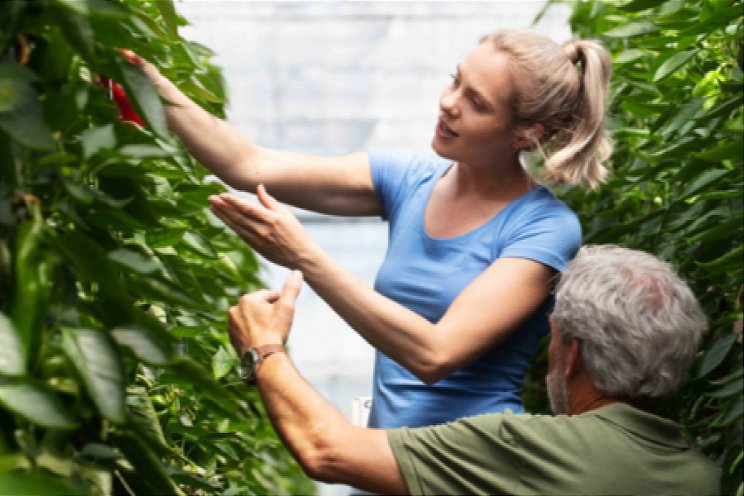 Arbeidsmigrant met werkende partner blijft Arbeidsmigrant met werkende partner blijft