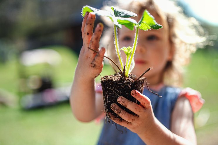 Kinderfestival bij WUR: Reis van de paprika