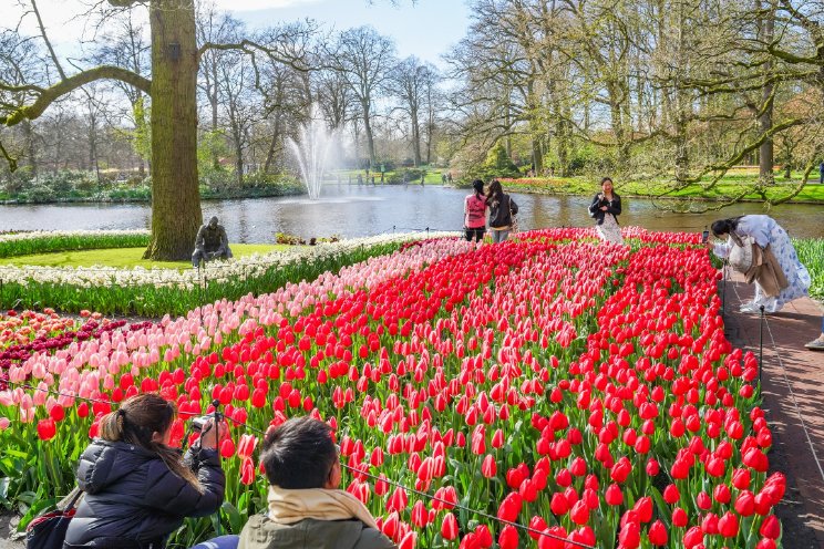Keukenhof sluit 75e editie succesvol af Keukenhof sluit 75e editie succesvol af