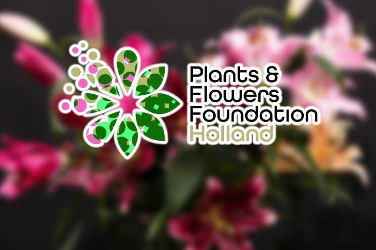 Bloemenbureau Holland krijgt nieuwe naam Bloemenbureau Holland krijgt nieuwe naam