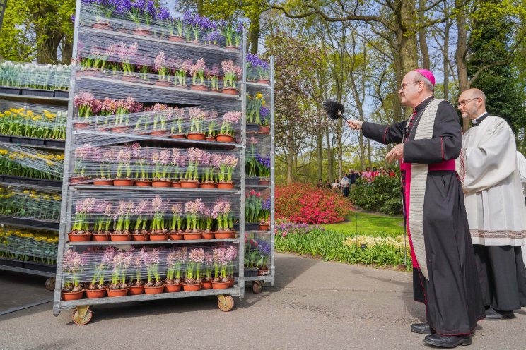 Gezegende bloemen richting Sint-Pietersplein