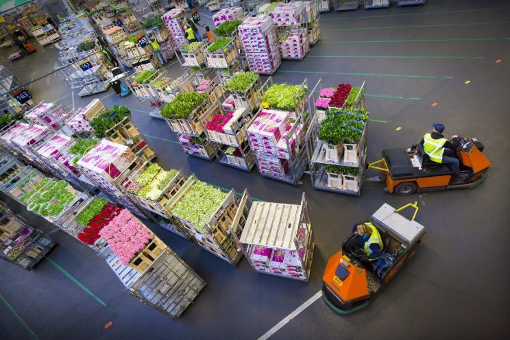 Royal FloraHolland reageert op asbestuitspraak