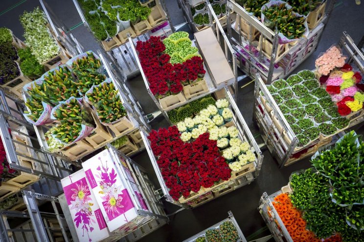 'Werkende stapelwagens essentieel voor processen'