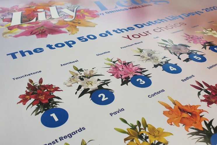 Stemmen in de Lily League Stemmen in de Lily League