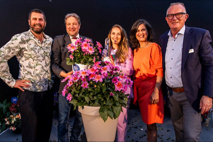 Florensis wint FleuroStar Award met nieuwe Dahlia Florensis wint FleuroStar Award met nieuwe Dahlia