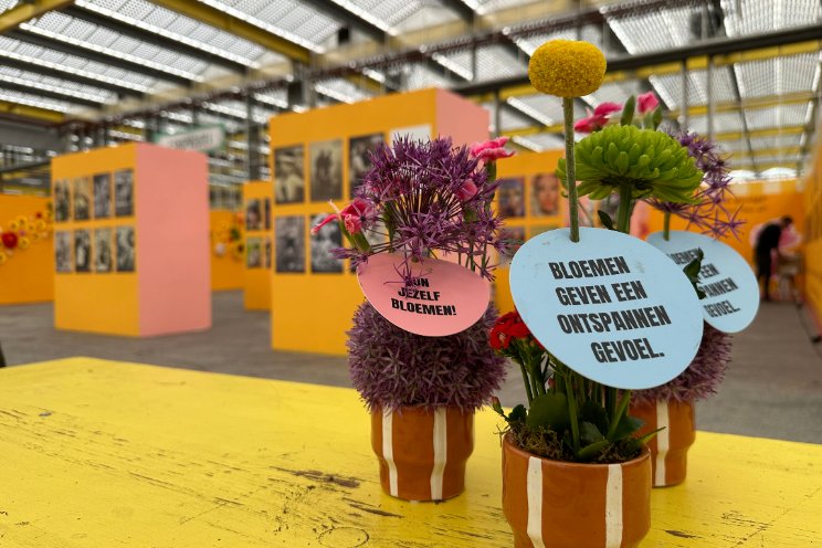 Libelle en Margriet vieren feest met bloemen Libelle en Margriet vieren feest met bloemen
