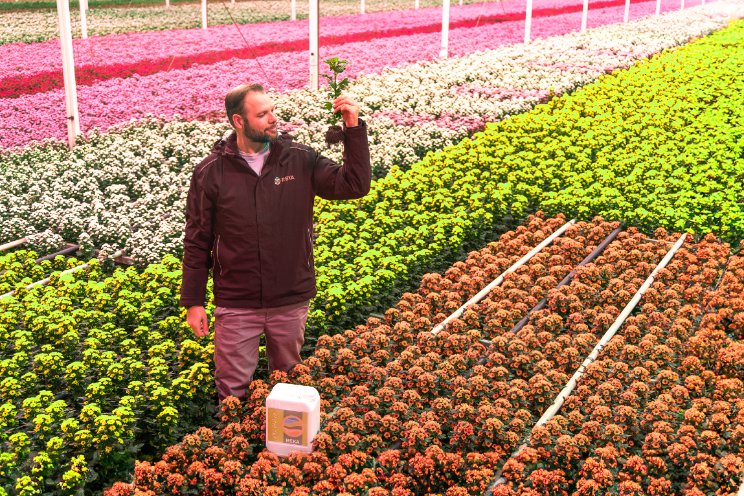 Horticoop investeert in bodemverbeteraar REKA Horticoop investeert in bodemverbeteraar REKA