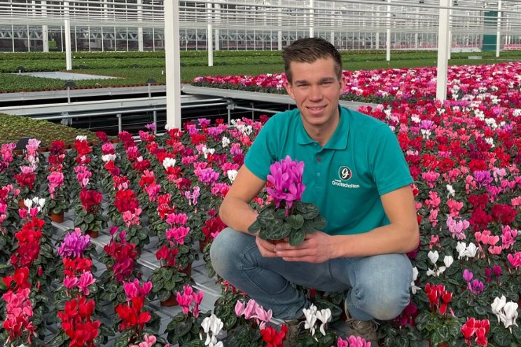 Tussen de cyclamen