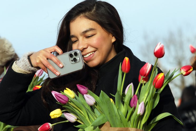 Swingende start van nieuw tulpenseizoen