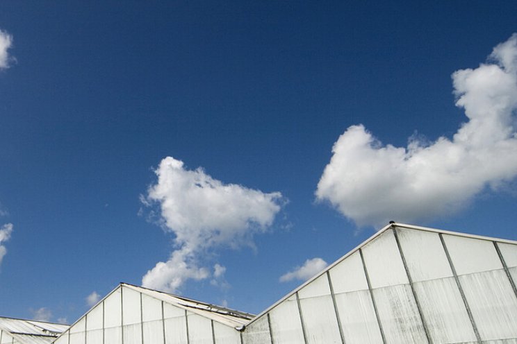 Gesprek over gezamenlijke visie toekomst tuinbouw Gesprek over gezamenlijke visie toekomst tuinbouw