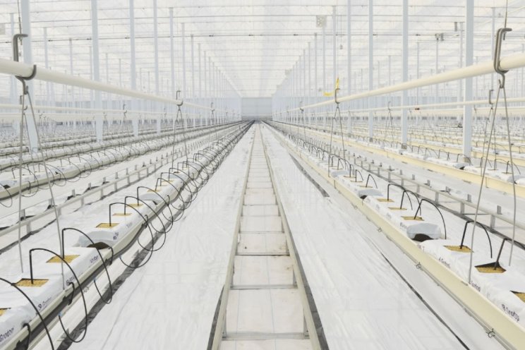 'Verf verwarmingsbuizen wit en bespaar energie' 'Verf verwarmingsbuizen wit en bespaar energie'