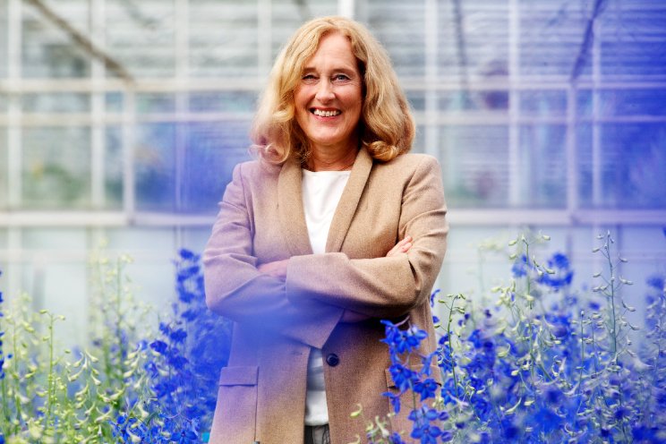 Bom-Lemstra langer bij Glastuinbouw Nederland