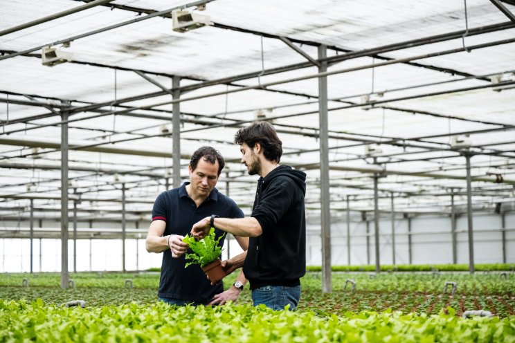 VDE Plant geeft IKEA inzicht in productfootprint VDE Plant geeft IKEA inzicht in productfootprint