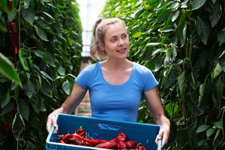 82% tuinbouwbedrijven beschikt over een RIE 82% tuinbouwbedrijven beschikt over een RIE