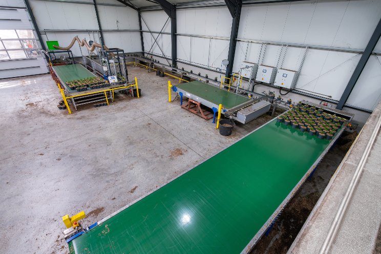 Unieke sorteerlijn voor Van Kaam Tuinplanten Unieke sorteerlijn voor Van Kaam Tuinplanten