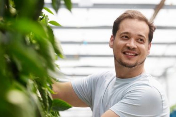 Seasonalwork.NL ook succesvol in glastuinbouw Seasonalwork.NL ook succesvol in glastuinbouw