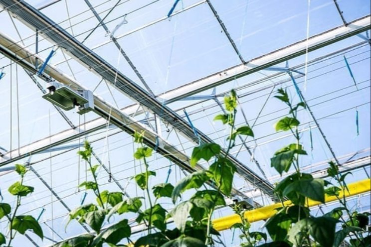 AgroEnergy organiseert webinar Energiemarkten
AgroEnergy organiseert webinar Energiemarkten
