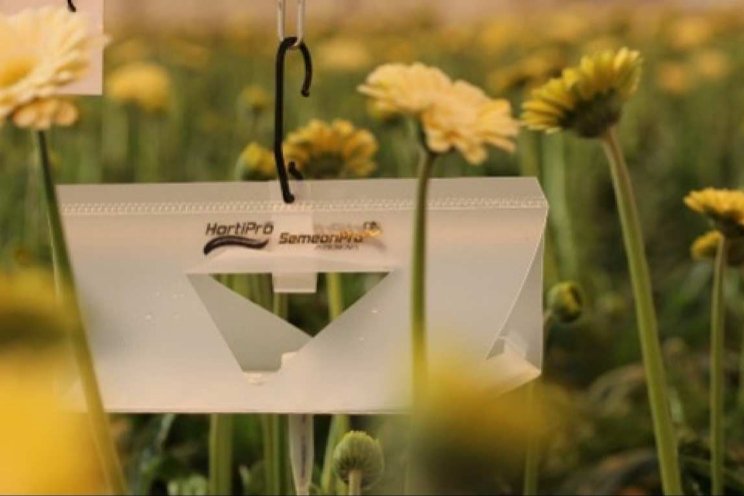 ‘Bepaal juiste moment voor groene aanpak’ ‘Bepaal juiste moment voor groene aanpak’