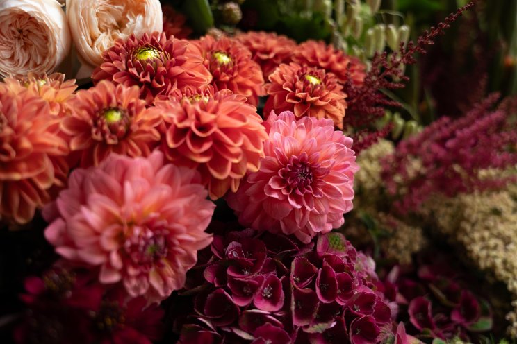 Bloemengroothandels verder onder één naam Bloemengroothandels verder onder één naam