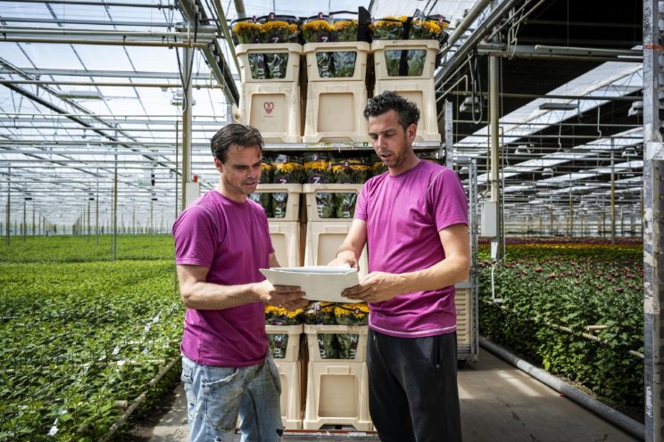 Royal FloraHolland meldt hogere kopertevredenheid