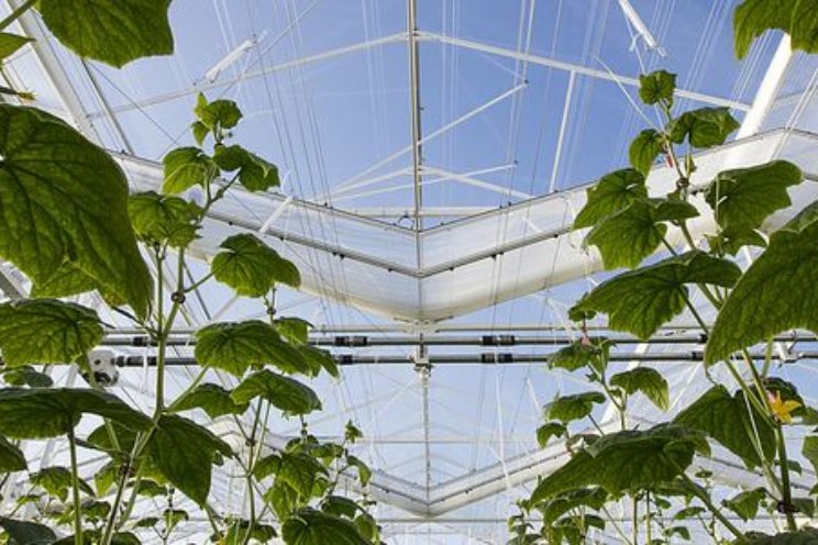 Slimme technologie helpt plagen eerder opsporen