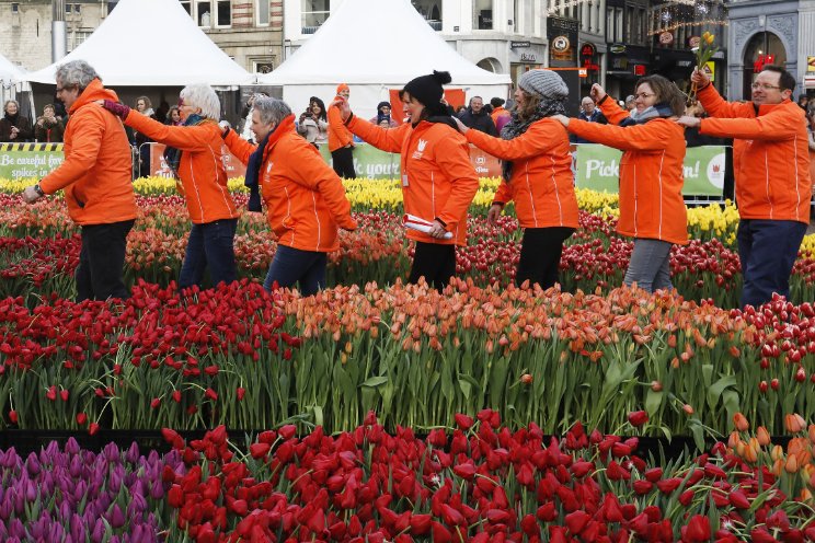 Tulpendag: Let's Dance! Tulpendag: Let's Dance!
