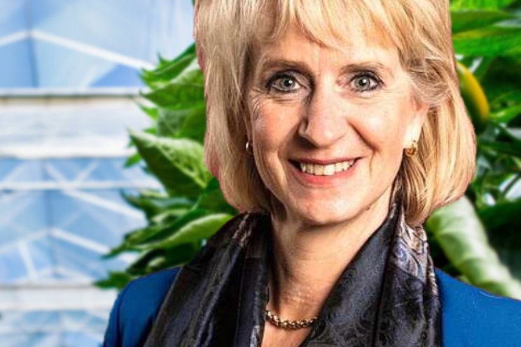 Jolanda Heistek: Jong! Jolanda Heistek: Jong!