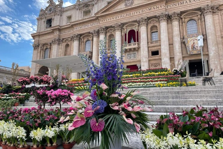 Nederlandse bloemen op Sint Pietersplein