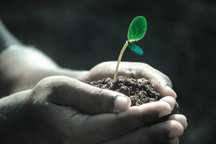 Uitheemse platworm vormt bedreiging planten Uitheemse platworm vormt bedreiging planten