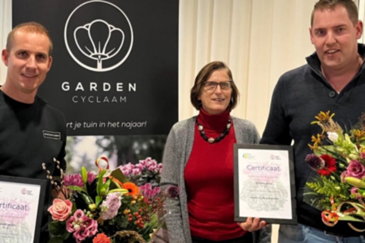 Kwaliteit blijft goed in de Benchmark Garden Cyclaam Kwaliteit blijft goed in de Benchmark Garden Cyclaam
