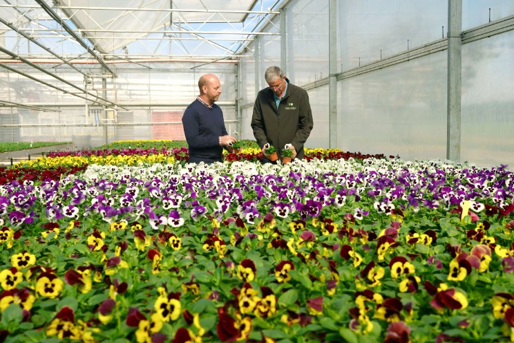 Syngenta Flowers introduceert Delta Pro Syngenta Flowers introduceert Delta Pro