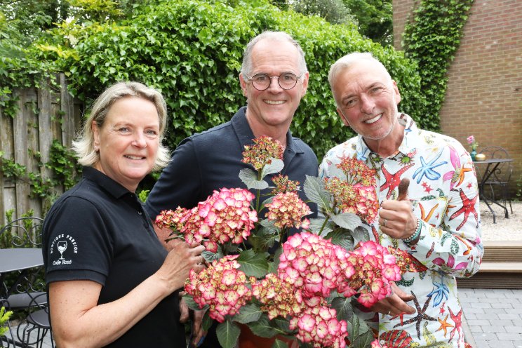 Hortensia geeft kleur aan pension Meilandjes Hortensia geeft kleur aan pension Meilandjes