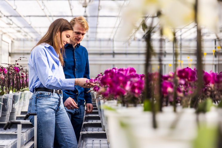 Opti-flor gegroeid naar lerende organisatie