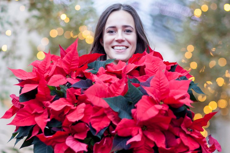 Inspirerende Poinsettiadag Inspirerende Poinsettiadag