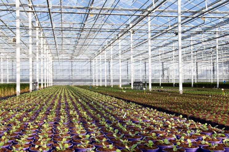 Impact van efficiënt telen