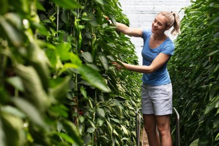 Europese werkloosheid op laagste niveau ooit Europese werkloosheid op laagste niveau ooit