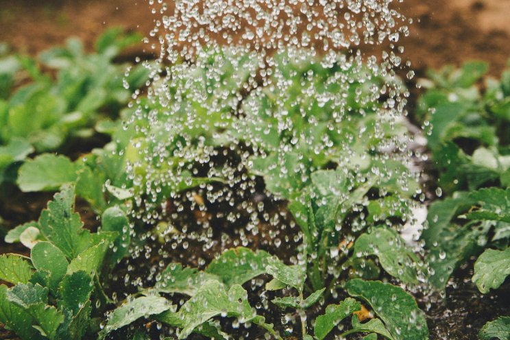 5 redenen om te investeren in slim watermanagement 5 redenen om te investeren in slim watermanagement