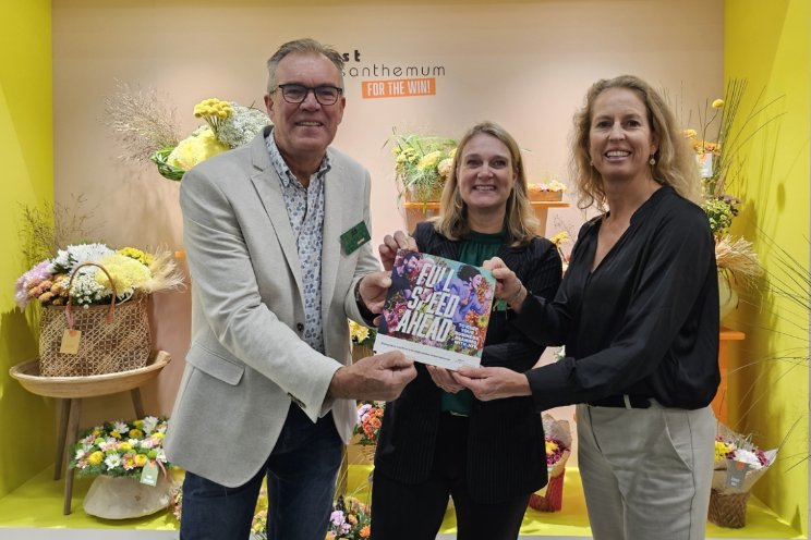 Belangrijke inzichten in chrysantensector Belangrijke inzichten in chrysantensector