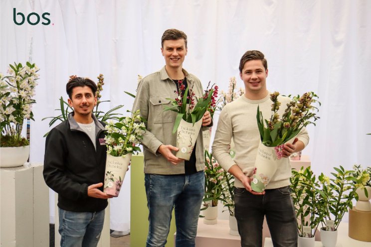 Bos. lanceert nieuwe uitstraling orchideen