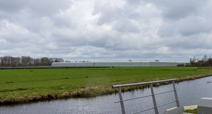 Wat betekent rapport Remkes voor de tuinbouw?