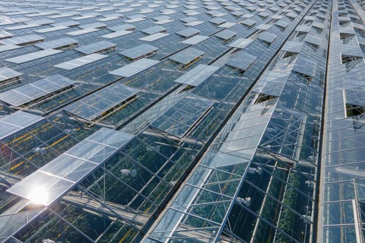 Uitspraak: tuinbouwgebied geen bebouwde kom Uitspraak: tuinbouwgebied geen bebouwde kom