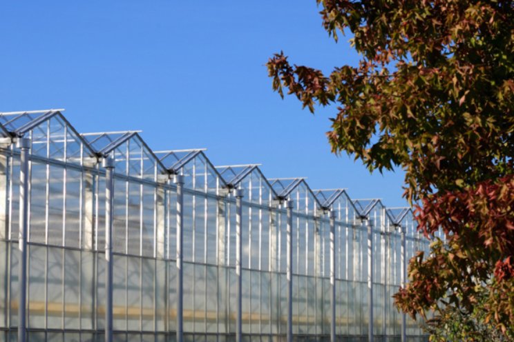 Zorgen om de tuinbouw (5) Zorgen om de tuinbouw (5)