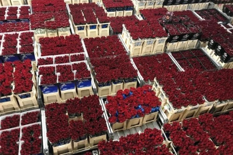 Klassiek rood voert boventoon met Valentijn Klassiek rood voert boventoon met Valentijn