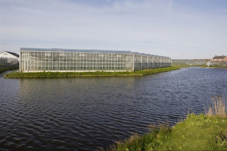 Delfland pakt lozingen in tuinbouw stevig aan Delfland pakt lozingen in tuinbouw stevig aan