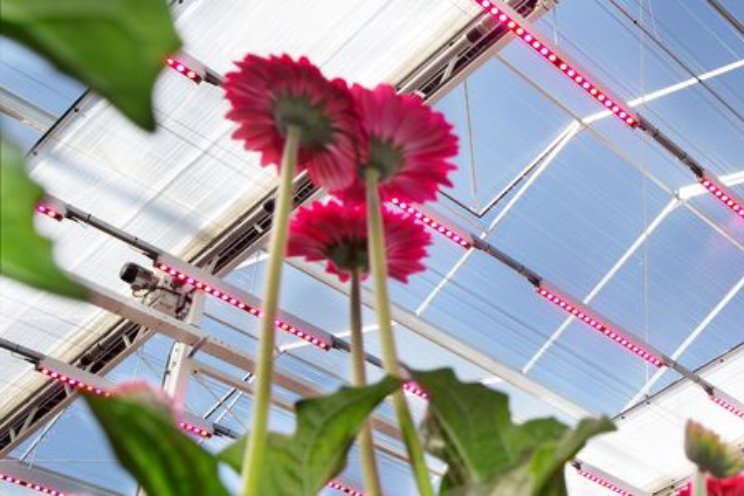 Zuid-Holland publiceert Tuinbouwmonitor Zuid-Holland publiceert Tuinbouwmonitor