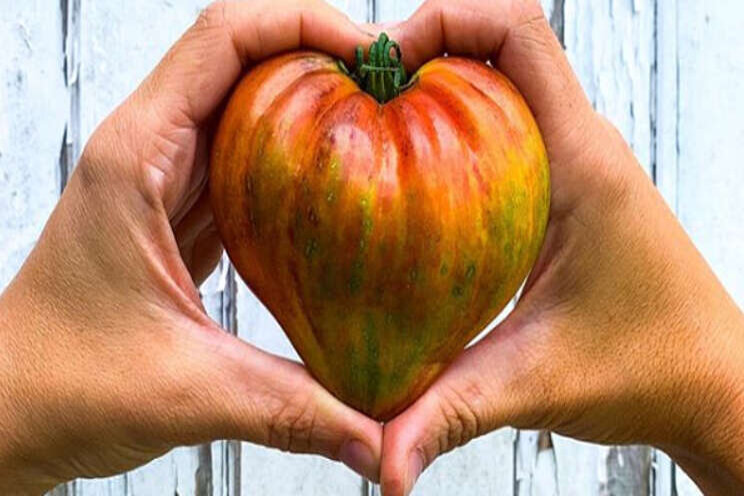 Instagram: Hart voor tomaten